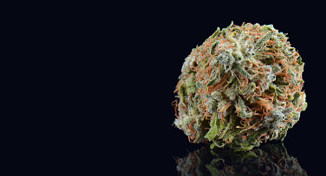 Buy Weed Online In Canada | Buyweed.cc