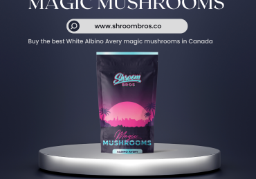 Buy Psilocybin Canada | Shroombros.co