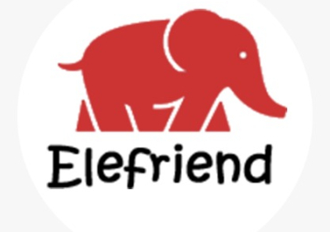 elephant rides in jaipur