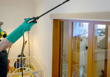 Termite Treatment Melbourne | Thelocalguyspestcontrol.com.au