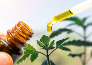 cbd toulon | Justcbdmagasin.fr