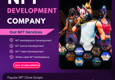 NFT Development Company