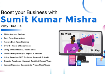 Hire Best SEO Freelancer In Jaipur India