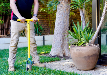 Termite Treatment Adelaide | Thelocalguyspestcontrol.com.au